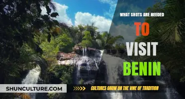Essential Vaccinations for a Safe and Healthy Trip to Benin