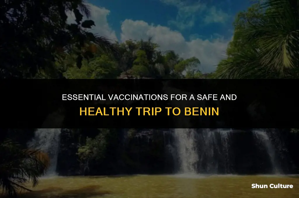 what shots are needed to visit benin