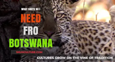 Essential Vaccinations for Safe Travel to Botswana: Your Health Guide