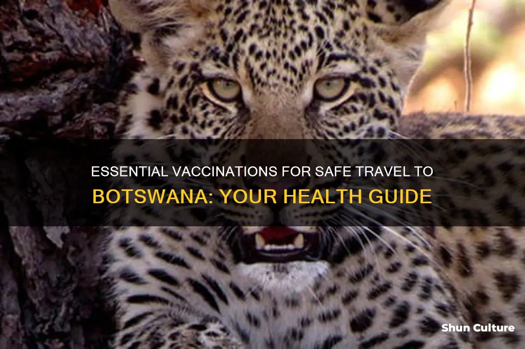 what shots do I need fro botswana