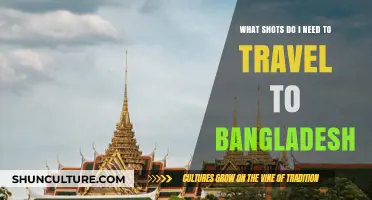 Essential Travel Vaccinations for a Safe Trip to Bangladesh