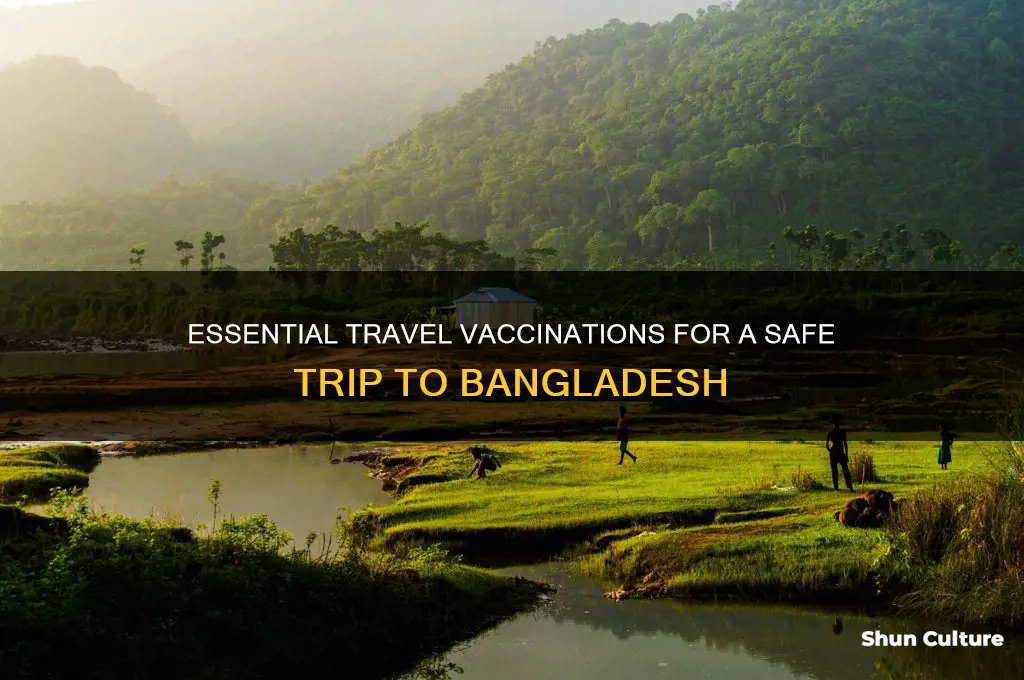 what shots do I need to travel to bangladesh