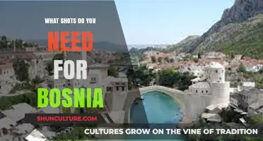Essential Vaccinations for Safe Travel to Bosnia and Herzegovina
