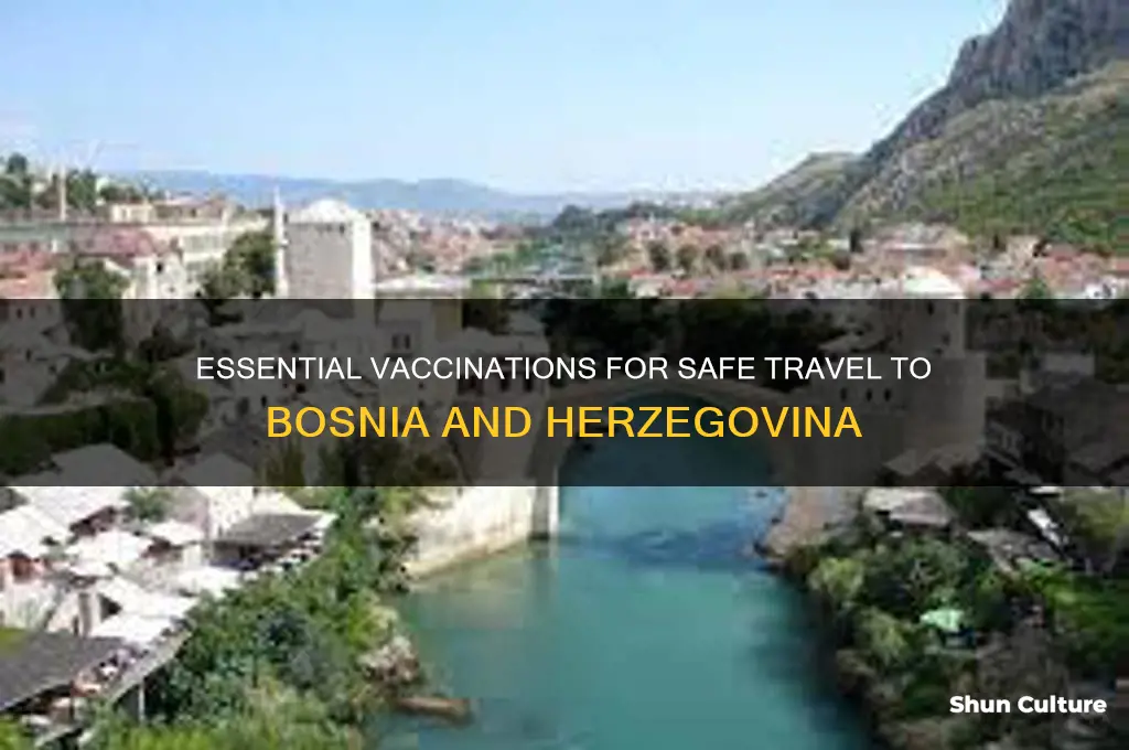 what shots do you need for bosnia