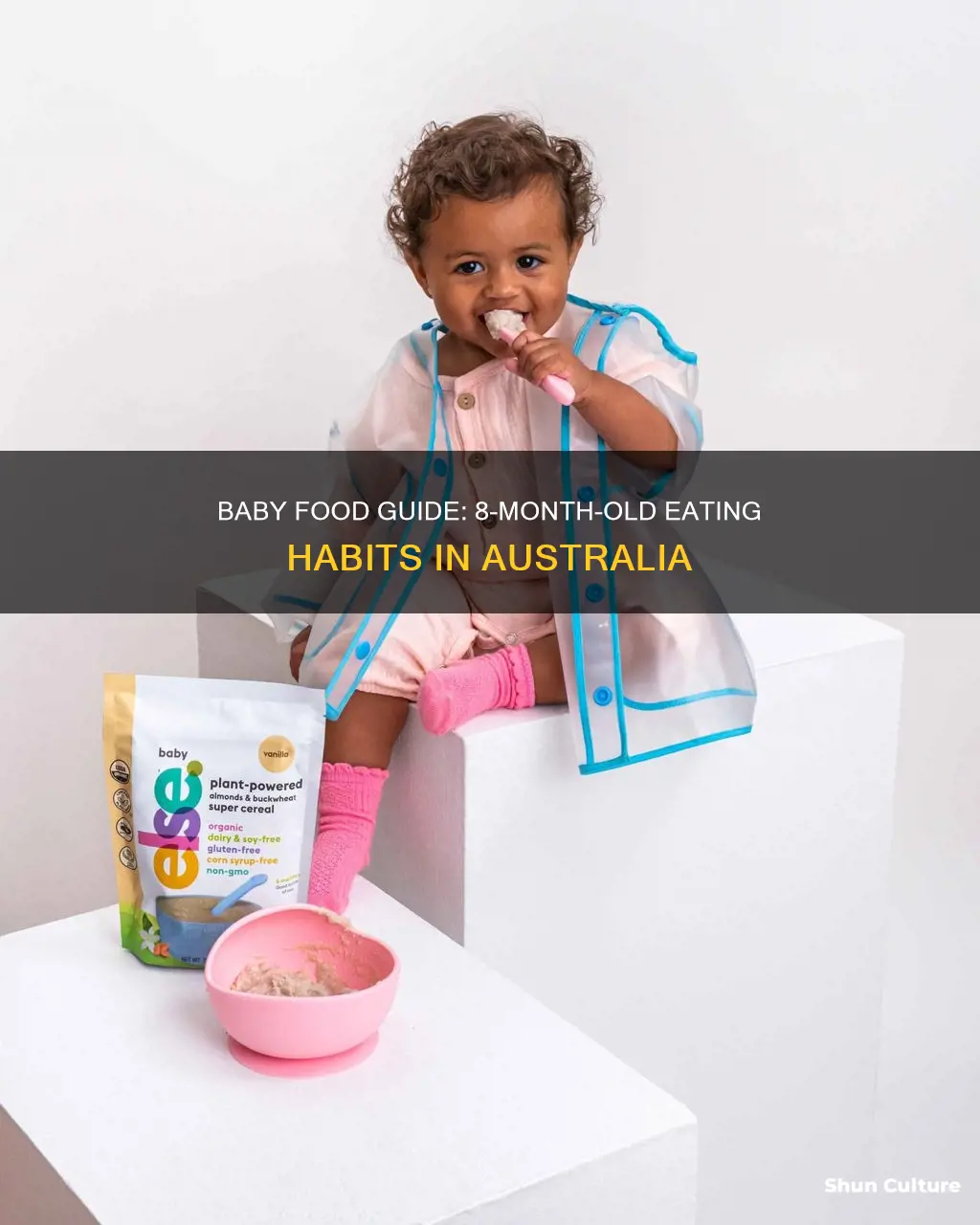 what should an 8 month old be eating australia
