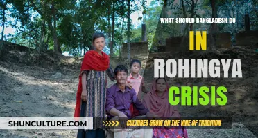 Bangladesh's Role: Addressing the Rohingya Crisis with Compassion and Strategy