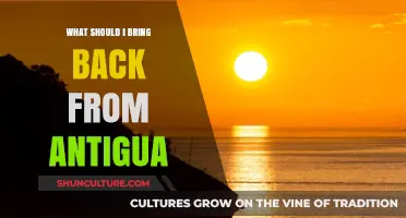 Unique Antigua Souvenirs: Must-Bring Treasures from Your Caribbean Adventure