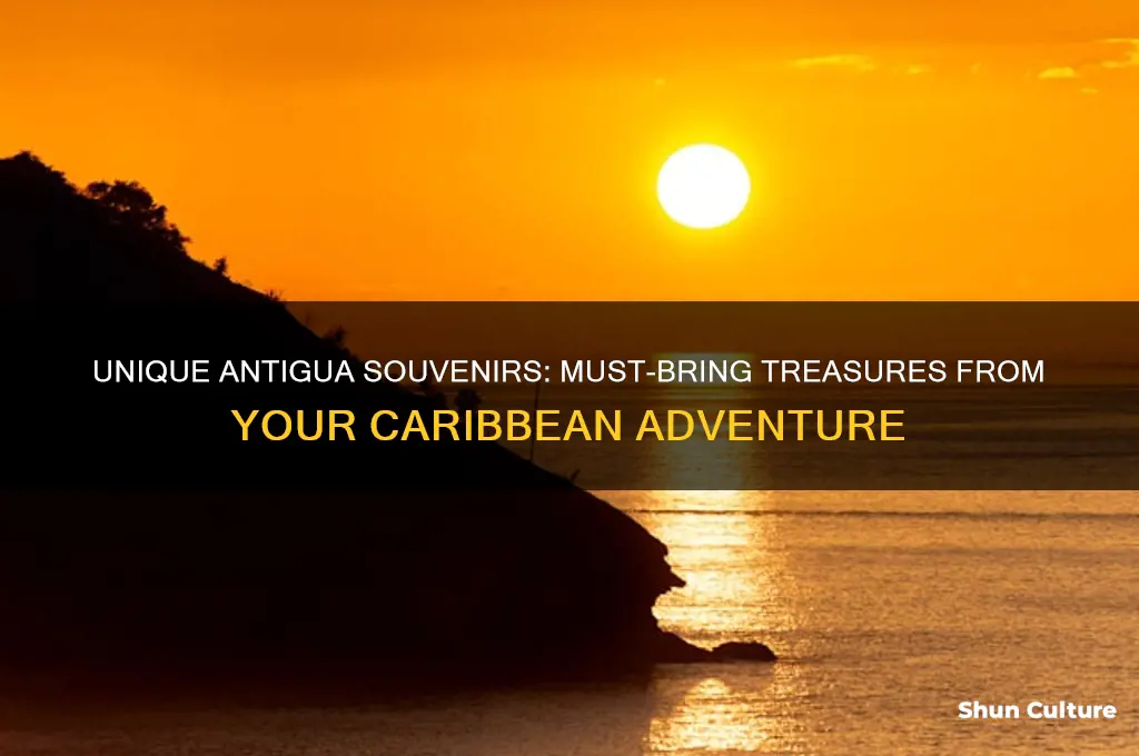 what should I bring back from antigua