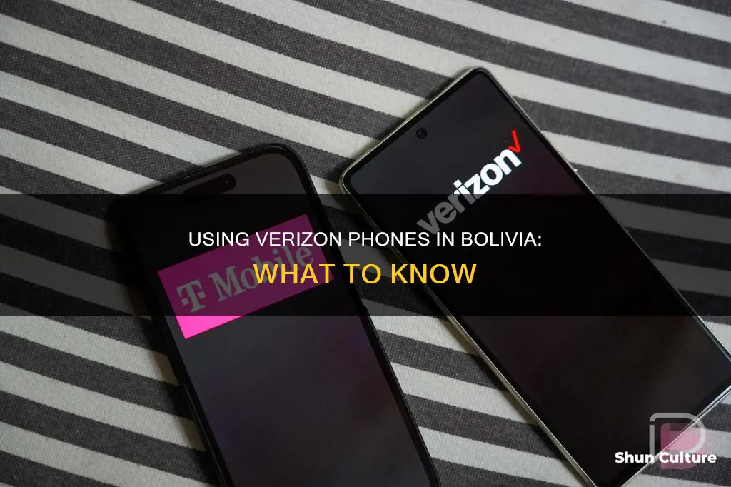 what should I do with my verizon phone in bolivia