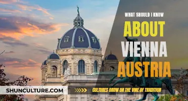 Exploring Vienna: A Guide to Austria's Cultural Capital