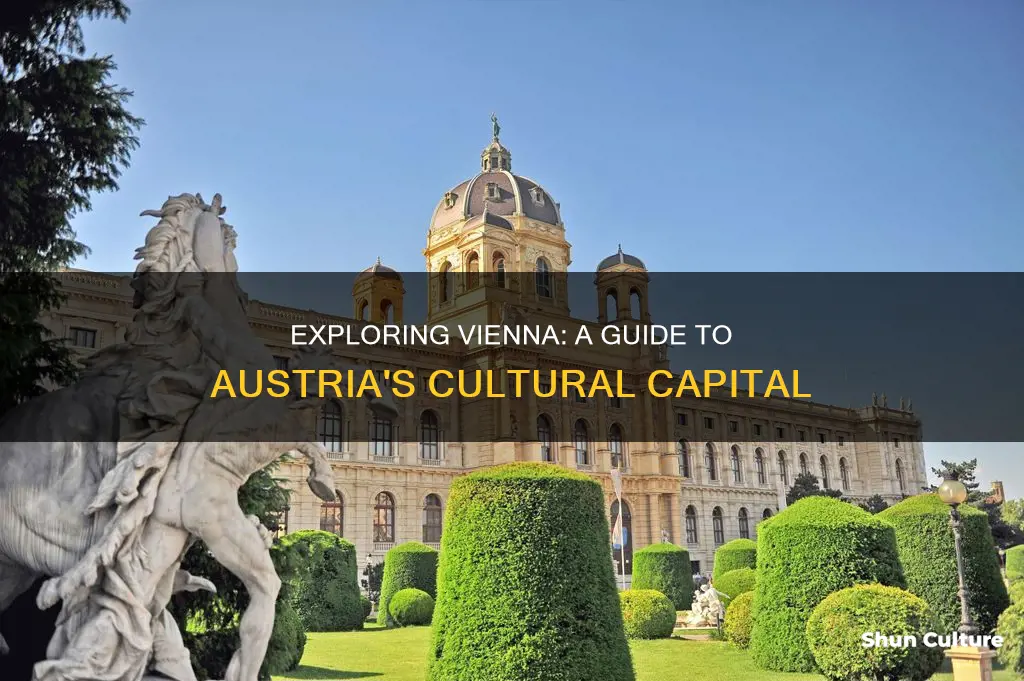 what should I know about vienna austria