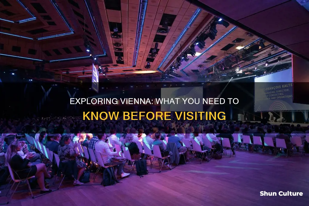 what should I know about vienna austria