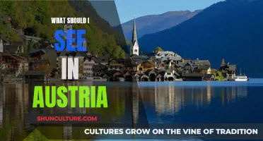 Uncover Austria's Charms: A Guide to Must-See Attractions