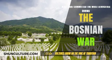 Bosnian War Atrocities: Which Side Committed the Most Crimes?