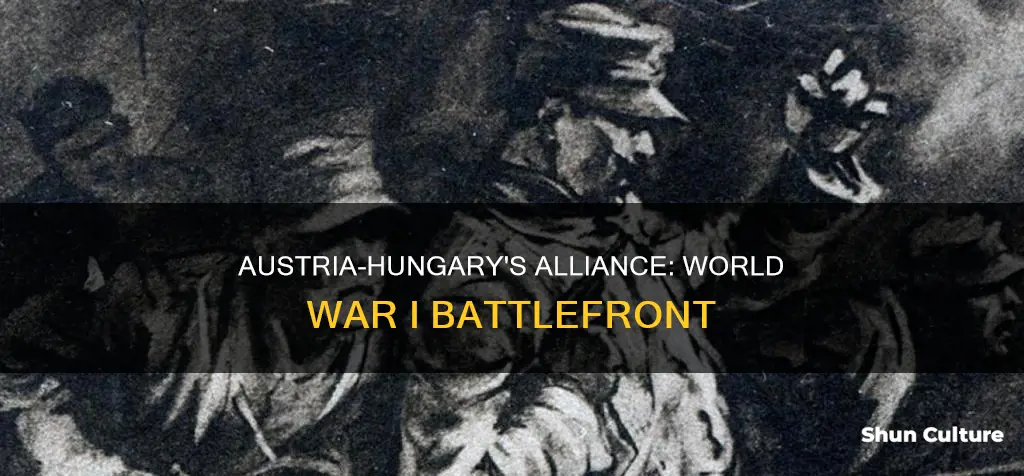 what side did austria-hungary fight on in ww1