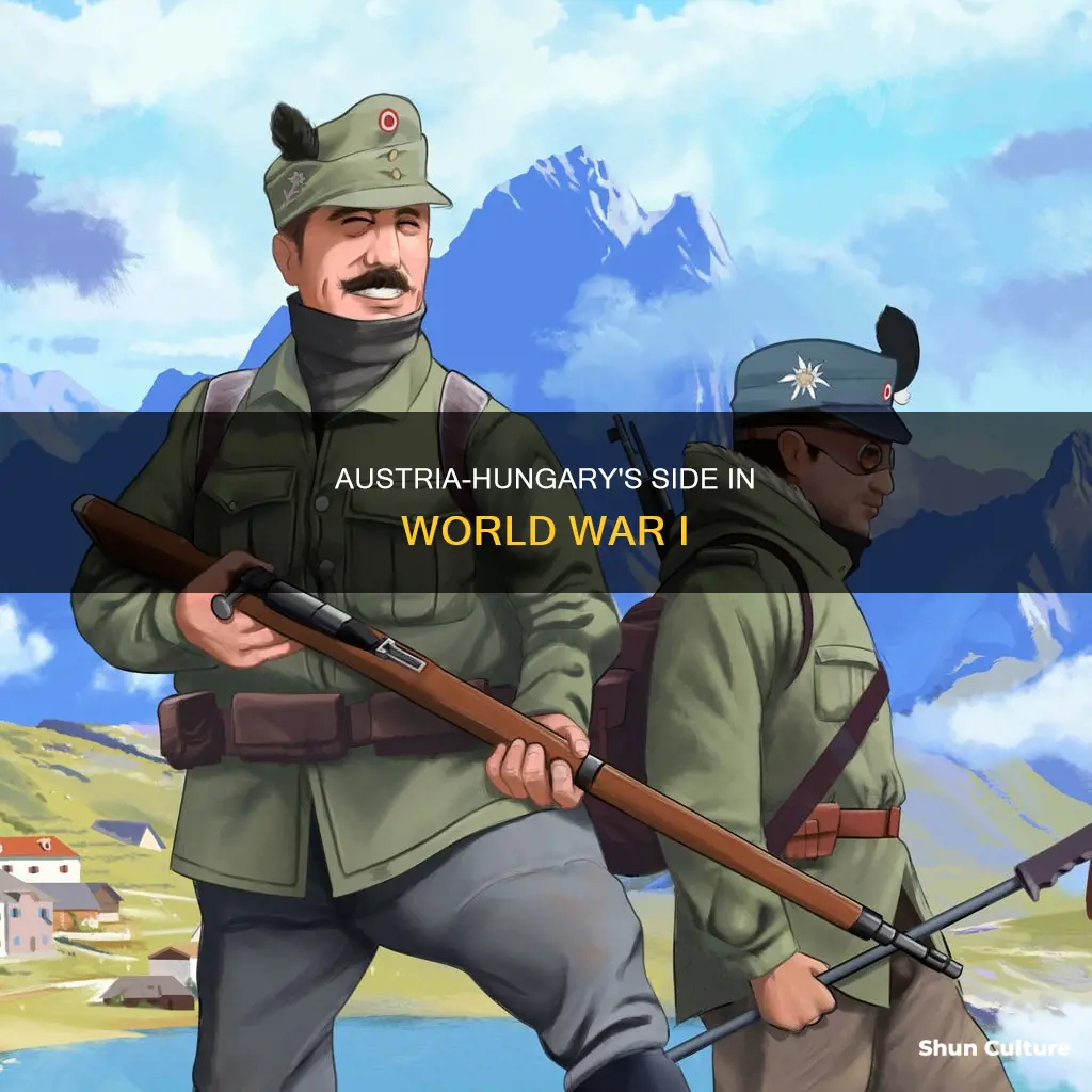 what side did austria-hungary fight on in ww1