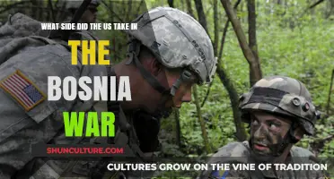 US Role in the Bosnia War: Neutrality or Intervention?