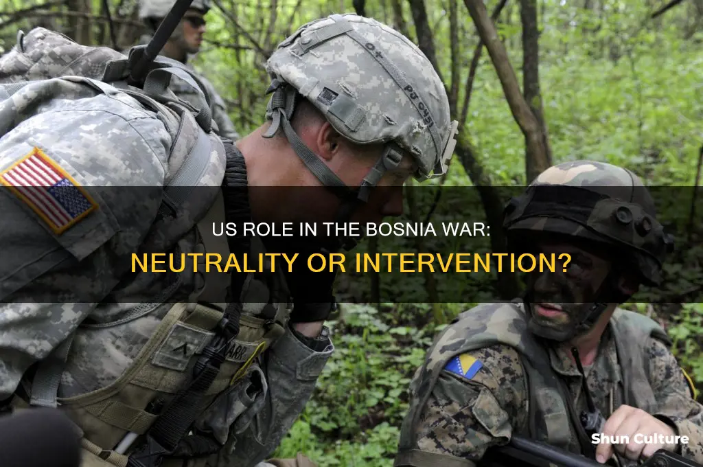 what side did the us take in the bosnia war