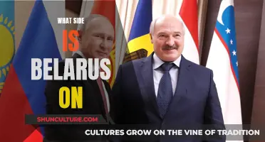 Belarus' Geopolitical Position: Friend or Foe?