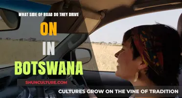 Which Side of the Road Do Drivers Use in Botswana?