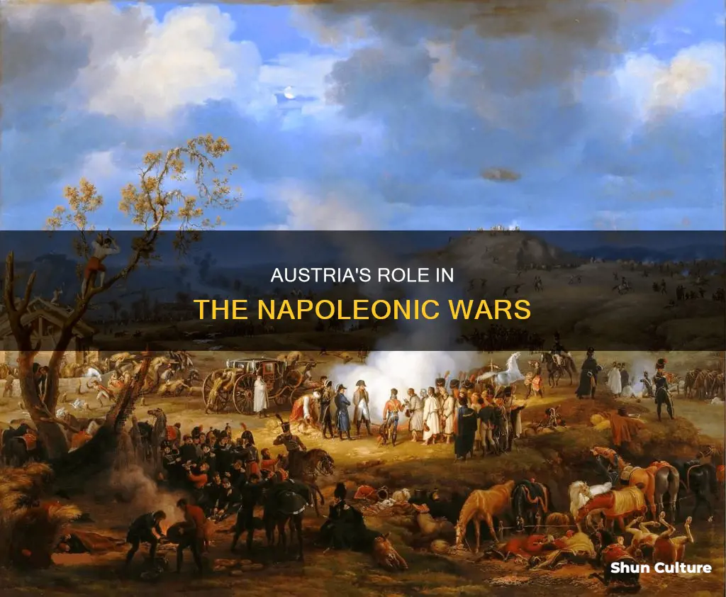 what side of the napolean war was austria on
