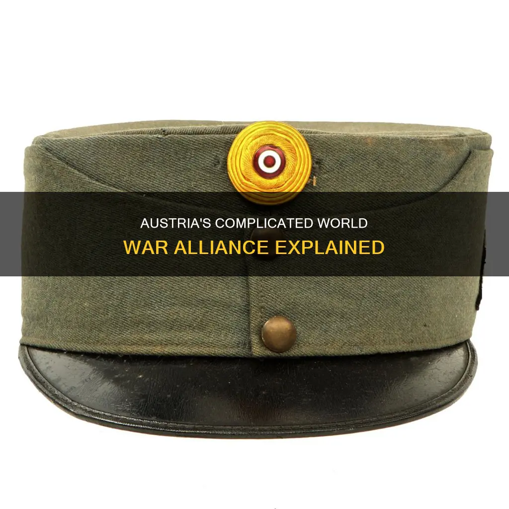 what side of the war was austria on