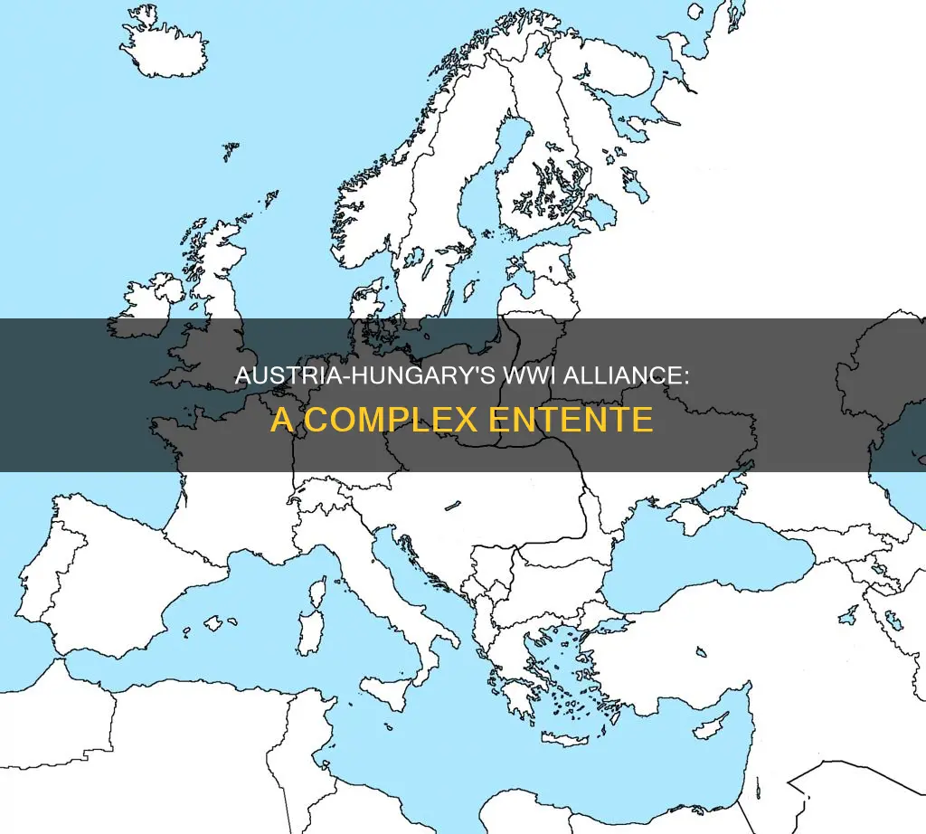 what side was austria-hungary on inww1