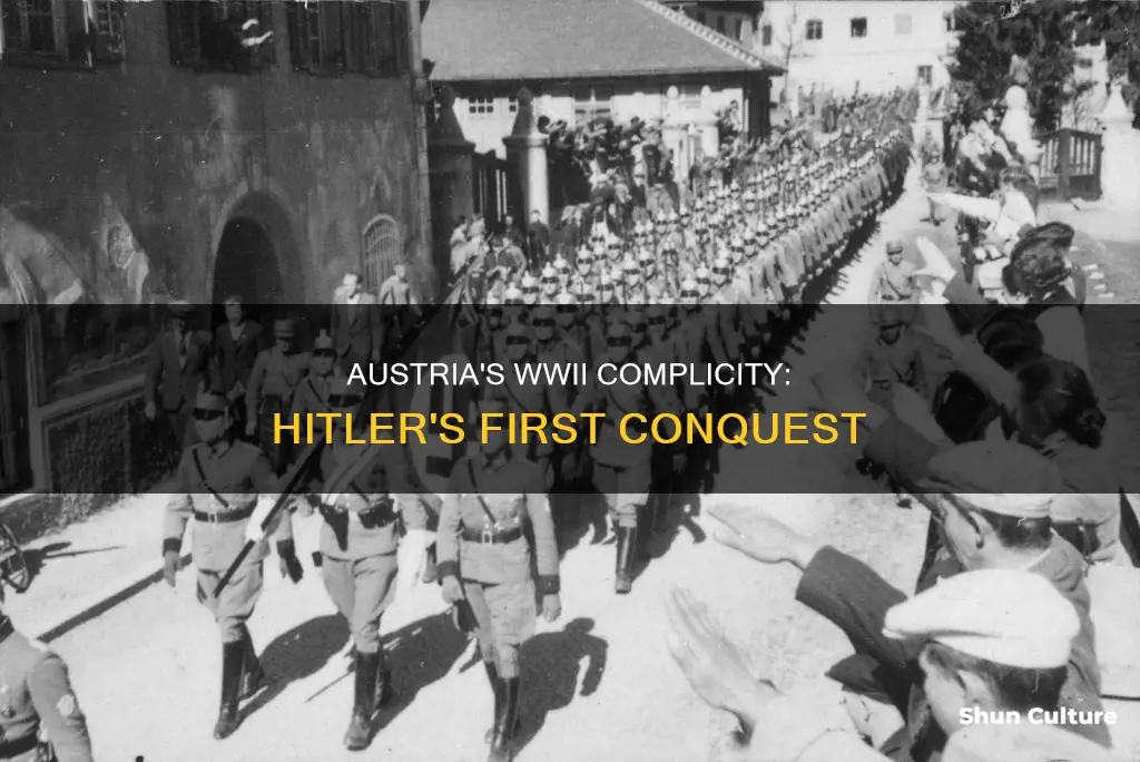 what side was austria on in ww2