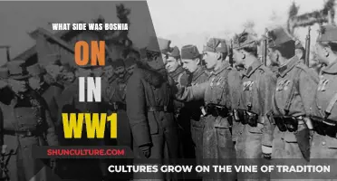 Bosnia's Allegiance in World War I: Unraveling the Complexities