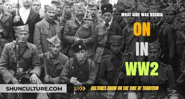 Bosnia's WWII Allegiance: Unraveling the Complexities of Its Role