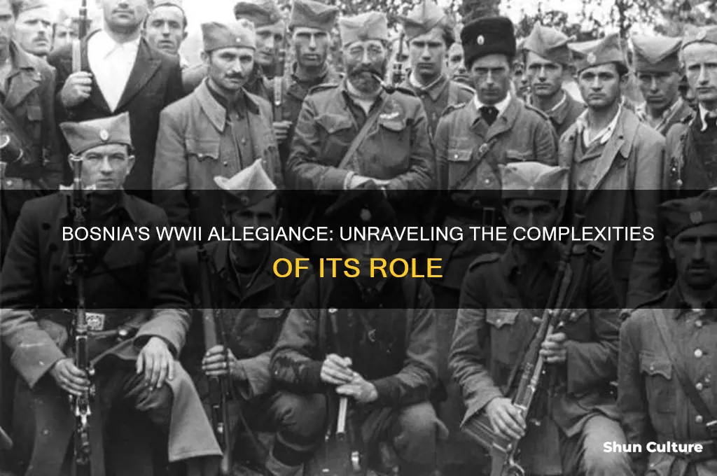 what side was bosnia on in ww2