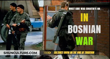 Croatia's Role and Allegiances During the Bosnian War Explained