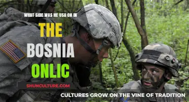 USA's Role in the Bosnian Conflict: Allies and Interventions