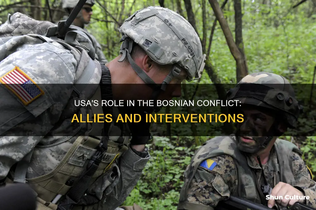 what side was he usa on in the bosnia onlic