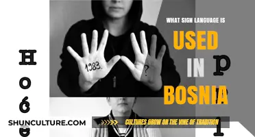 Exploring Bosnia's Sign Language: Communication and Culture in the Balkans