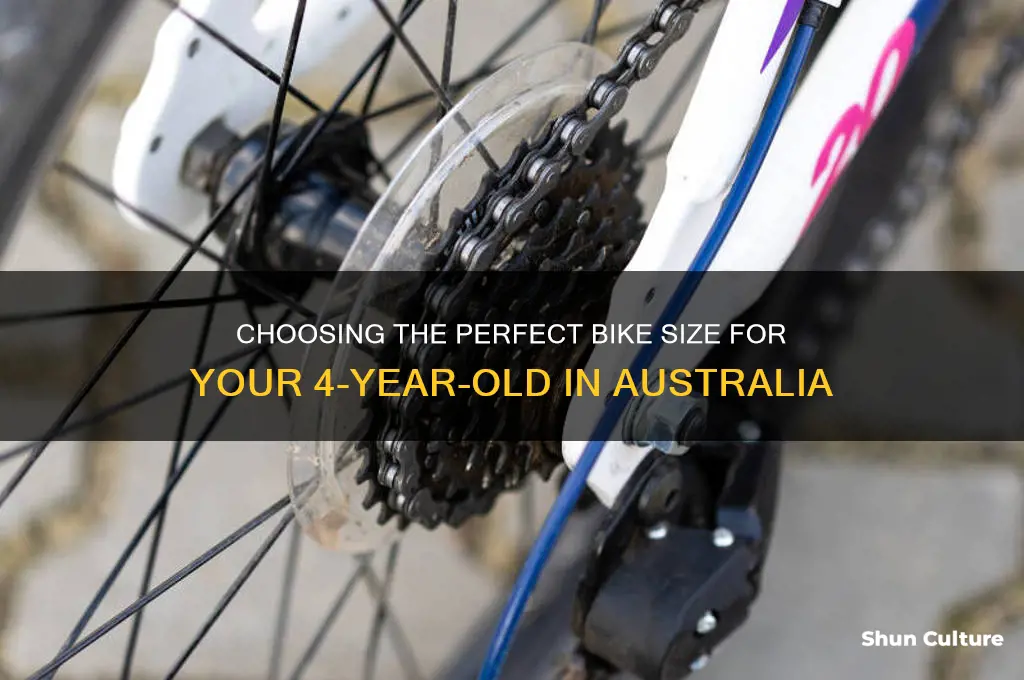 what size bike for 4 year old australia
