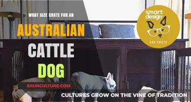 Crate Sizing 101: Australian Cattle Dog Edition