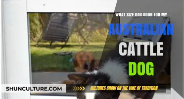 Choosing the Right Dog Door Size for Your Australian Cattle Dog