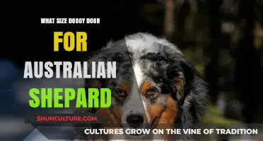 Choosing the Right Doggy Door Size for Your Australian Shepard