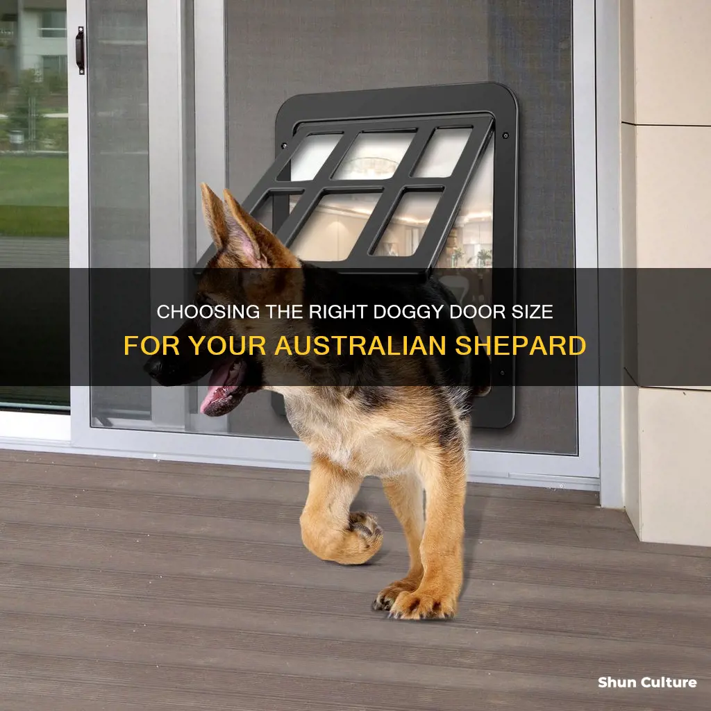 what size doggy door for australian shepard