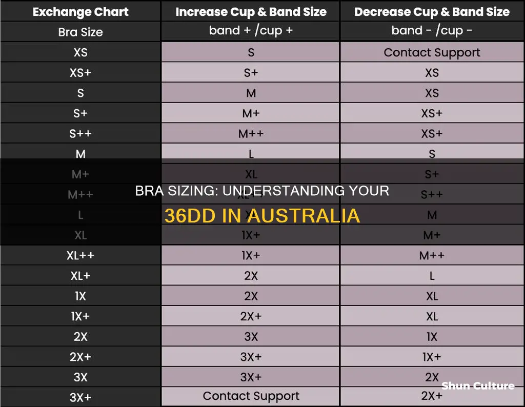 what size is 36dd in australia