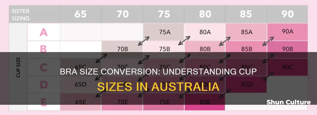what size is 38 c in australia
