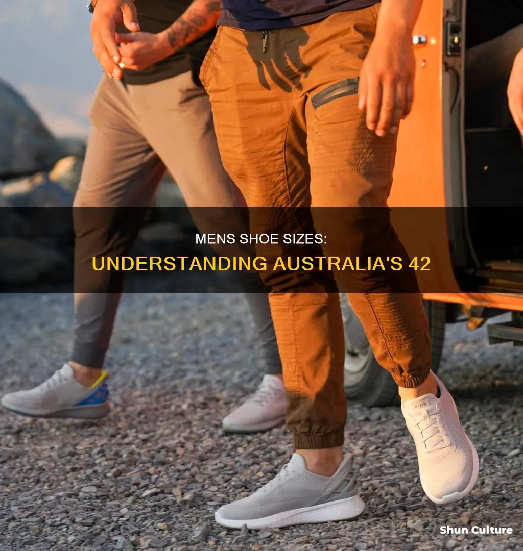 what size is 42 in mens shoes australia