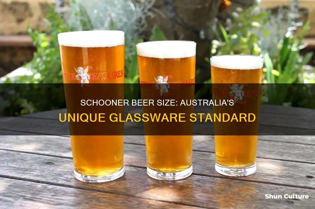 what size is a schooner of beer in australia