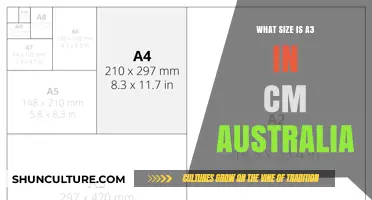 A3 Paper Size: Understanding the Dimensions in Centimeters