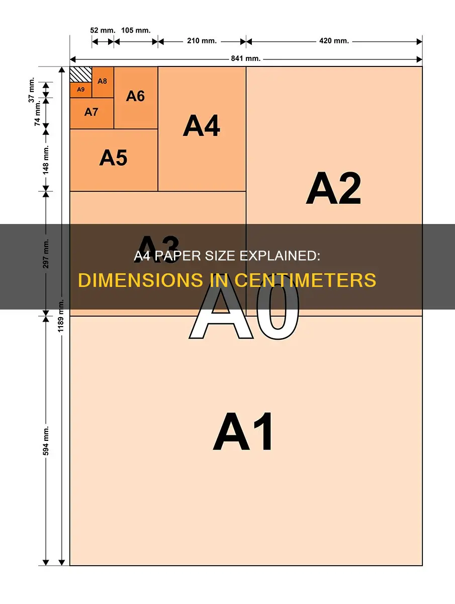 what size is a4 in cm australia