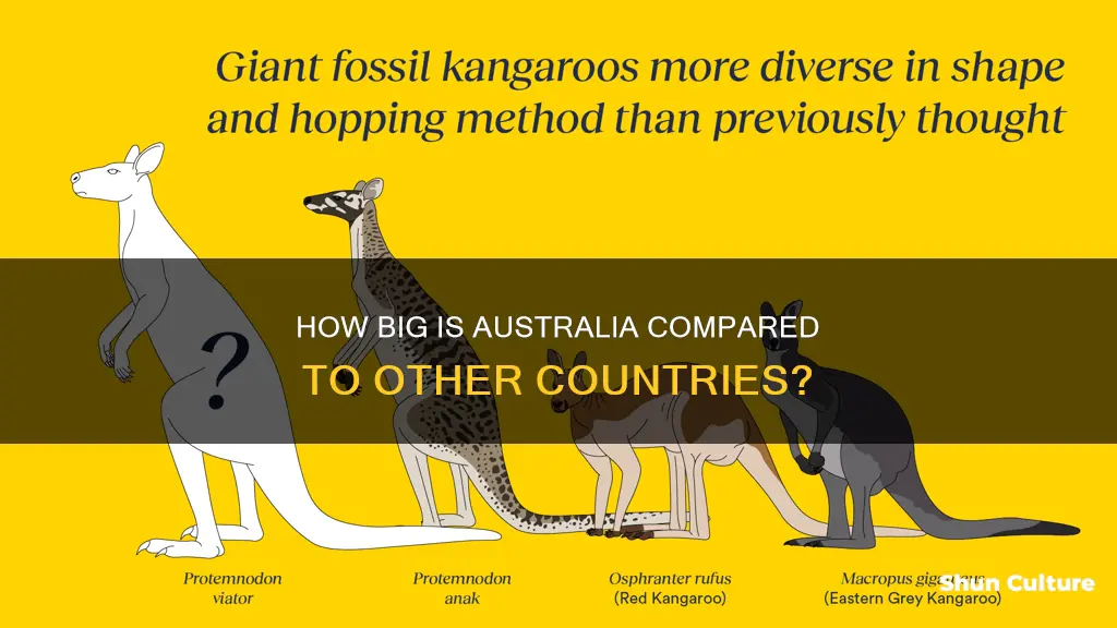 what size is australia compared to other countries