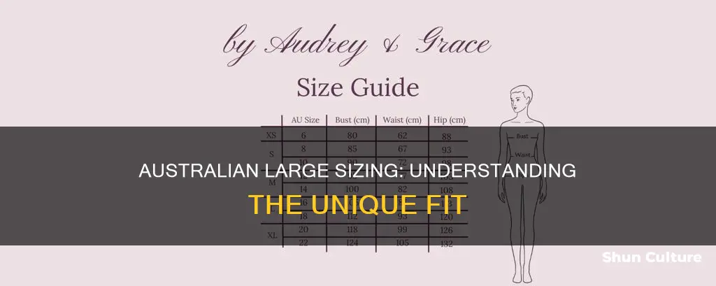 what size is large in australia