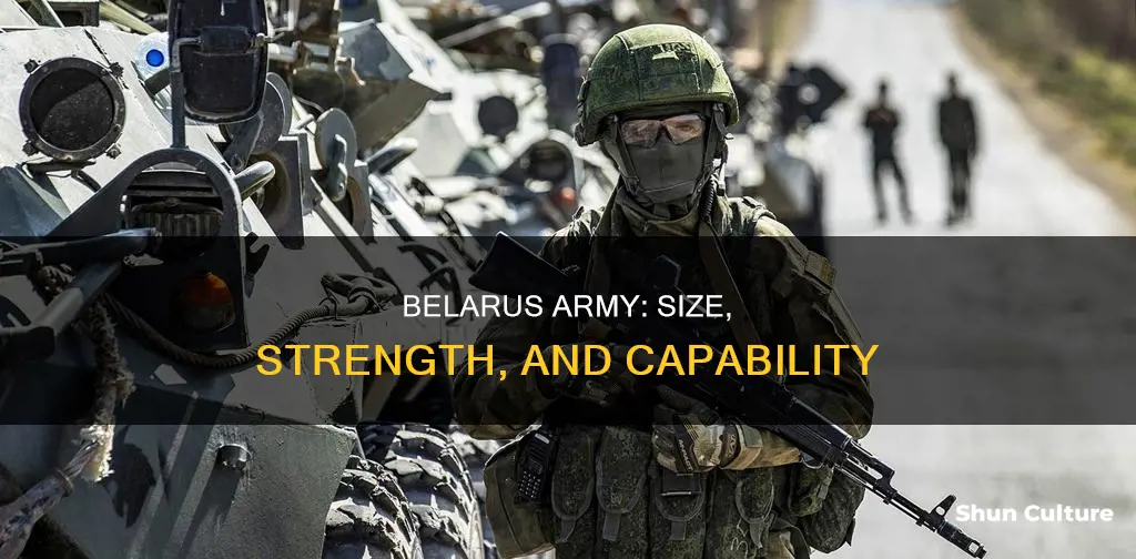 what size is the belarus army