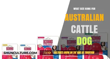 Kong Size Guide: Choosing the Right Toy for Your Australian Cattle Dog